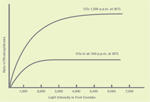 Increased Rate of Photosynthesis with Increased CO2 Concentration and Light Intensity