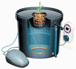 Example of DWC (Bubbler) System