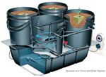 Example of a Flood and Drain System
