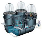 Example of an Automated Hydroponic Propagation System