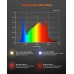 2024 Spider Farmer SF300 33W LED Grow Light