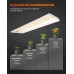 2024 Spider Farmer SF300 33W LED Grow Light