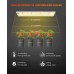 2024 Spider Farmer SF300 33W LED Grow Light