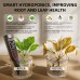 2026 Spider Farmer 5-in-1 pH Hydroponic Meter Kit 2026 Spider Farmer 5-in-1 pH Hydroponic Meter Kit