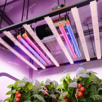 2026 Spider Farmer UV30 & IR16 LED Grow L...