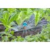 6 in 1 Spray Nozzle