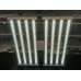 8 Bar 880W - Mint White - with Emerald Green Spectrum