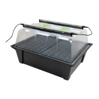 X-Stream 80 Site with 2 x SunBlaster 60cm T5 Propagation Lights