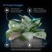 AC Infinity SPECTRON 7, AI-Powered Grow Camera 4K with Thermal Imaging and Under-Canopy Vision AC Infinity SPECTRON 7, AI-Powered Grow Camera 4K with Thermal Imaging and Under-Canopy Vision