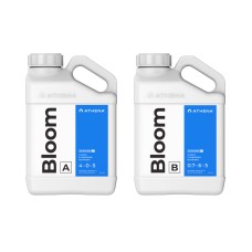 Blended Line - Bloom A&B