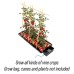 AutoPot Tray2Grow Slim Kit AutoPot Tray2Grow Slim Kit