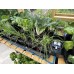 AutoPot Tray2Grow Slim Kit AutoPot Tray2Grow Slim Kit