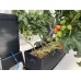 AutoPot Tray2Grow Slim Kit AutoPot Tray2Grow Slim Kit