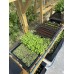 AutoPot Tray2Grow Slim Kit AutoPot Tray2Grow Slim Kit