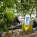 Bluelab pH PenPlus Bluelab pH PenPlus