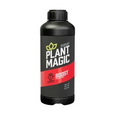 Boost (Ignition)
