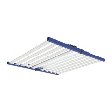 Borg Evolution 1600W