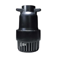 Charles Austen D SERIES Pumps