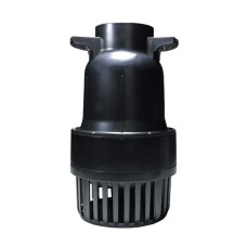 Charles Austen D SERIES Pumps
