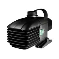 Charles Austen T SERIES Pumps