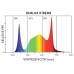 Dimlux Xtreme Series 550W LED ION MKII