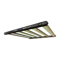 Dimlux Xtreme Series 800W LED ION MKII