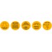 Gavita Pro 6/750e DE FLEX UK Complete Fixture