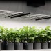 IONFRAME EVO6, Samsung LM301H EVO Commercial LED Grow Light, 500W, 4x4 ft.