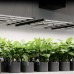 IONFRAME EVO8, Samsung LM301H EVO Commercial LED Grow Light, 730W, 5x5 ft.