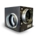Mammoth Foam Box Fans