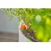 Micro-Drip-Irrigation Balcony Set ​(15 plants)​