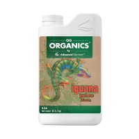 OG Iguana Juice - Bloom