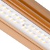 Omega Infinity 3.0 Pro 1000W LED