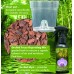 Orchid Myst Repotting Kit