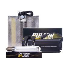 Pulsar 600W Digital Lighting Kit