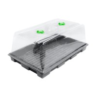 Root!t Propagator