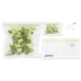 Sealz Vacuum Sealer Essentials