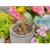 Solar-Powered Irrigation AquaBloom Set