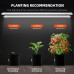 Spider Farmer Glow80 80W Full Spectrum LED Grow Light Bars Spider Farmer Glow80 80W Full Spectrum LED Grow Light Bars