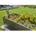 Start Set for raised bed/beds (35 plants)