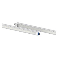 Tarantula Veggie Bar (Pair)