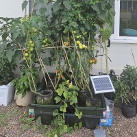 Terra Aquatica Ebb&Grow inc 24 1 Gal Smar...