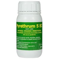 Pyrethrum 5 EC 250ml