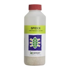 Spidex Live Spider Mite Predators 2-3 Days Life