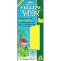 Yellow Sticky Traps (pack of 5)