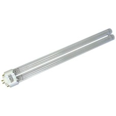 CleanLight Replacement Bulb - 11W