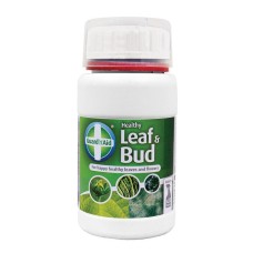 Healthy Leaf & Bud
