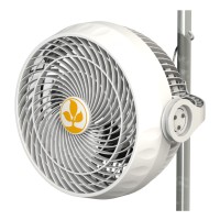 30W Monkey Fan MK2