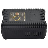 Omega Pro-V 600W Ballast