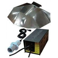 600W DayLite UltraLite System Without Lamp